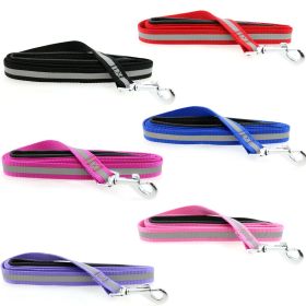 Reflective Nylon Leash with Soft Grip Handle 3/4 in. Wide x 5 ft. Long - Raspberry Pink