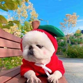 Cute Fruit Dog Clothes For Small Dogs Hoodies Winter Warm Fleece Pet Clothing Puppy Costume Coat For French Chihuahua Outfit (Option: 1 Style-XS)