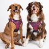 American River Choke Free Dog Harness Ombre Collection - Sunset Pink