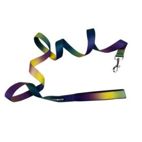 American River Ombre Leash - Cosmic Splash (Option: 1 inch wide
 x 6 feet long)