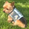 Cool Mesh Dog Harness with Leash - Blue Daisy