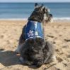 Cool Mesh Dog Harness with Leash - Catching Waves