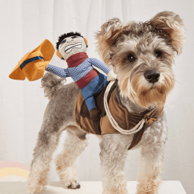 Cowboy Rider Pet Costume, Funny Dog Costume For Small Medium Dogs (Color: Mixed Color, size: S)
