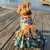 Fiesta Floral Dress