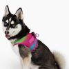American River Choke Free Dog Harness Ombre Collection Cotton Candy