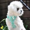 American River Choke Free Dog Harness Polka Dot Collection - Teal Polka Dot