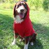 Flex-Fit Dog Hoodie- Red