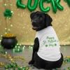 NEW - Happy St. Patrick's Day - White