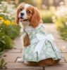 Mint Green Daisy Dress