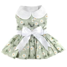 Mint Green Daisy Dress (Option: X-Small)