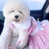 Polka Dot and Lace Dog Dress Set with Leash - Pink
