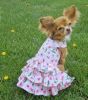 Spring Wildflower Dog Dress with Matching Leash